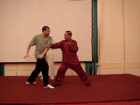 Wahnam Taijiquan Tai Chi Chuan