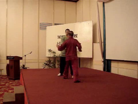 Wahnam Taijiquan