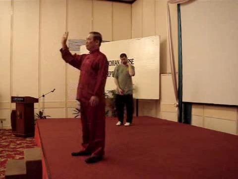 Wahnam Taijiquan