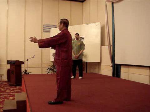 Wahnam Taijiquan