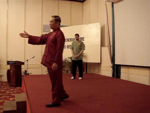 Wahnam Taijiquan, Tai Chi Chuan