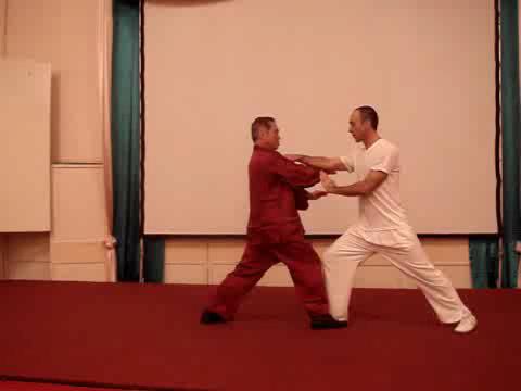 Wahnam Taijiquan