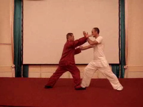 Wahnam Taijiquan