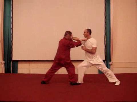 Wahnam Taijiquan Tai Chi Chuan