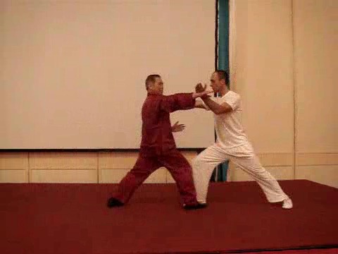 Wahnam Taijiquan