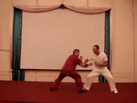 Wahnam Taijiquan