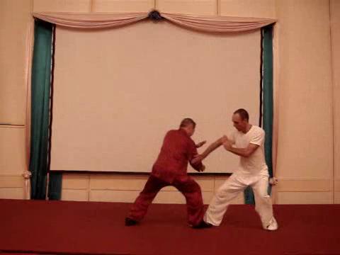 Wahnam Taijiquan Tai Chi Chuan