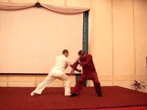 Wahnam Taijiquan