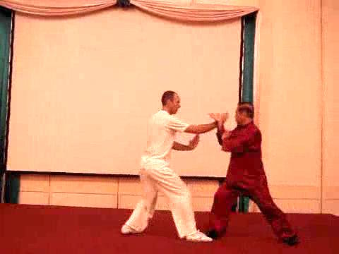 Wahnam Taijiquan Tai Chi Chuan