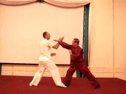 Wahnam Taijiquan