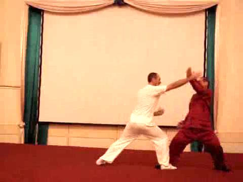 Wahnam Taijiquan