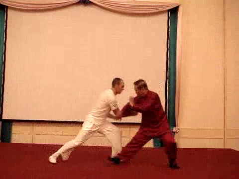 Wahnam Taijiquan