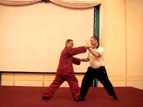 Wahnam Taijiquan Tai Chi Chuan