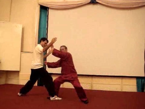 Wahnam Taijiquan