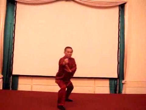 Wahnam Taijiquan