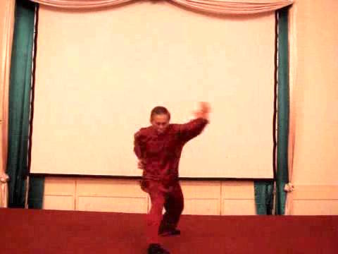 Wahnam Taijiquan Tai Chi Chuan