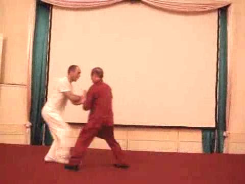 Wahnam Taijiquan