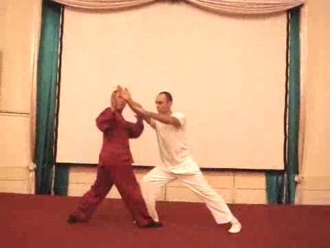 Wahnam Taijiquan