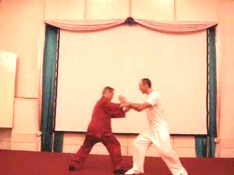 Wahnam Taijiquan