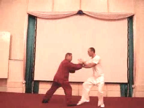 Wahnam Taijiquan