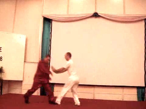 Wahnam Taijiquan