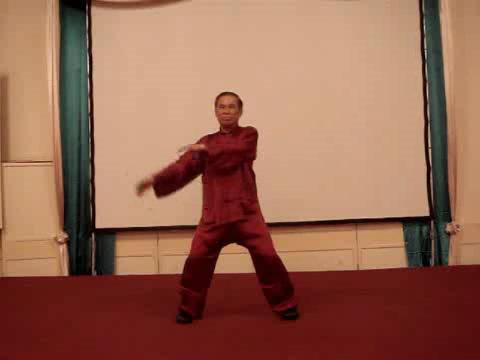 Wahnam Taijiquan