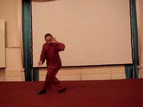 Wahnam Taijiquan