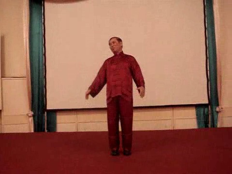 Wahnam Taijiquan Tai Chi Chuan