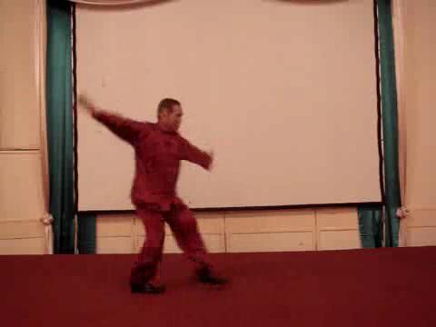 Wahnam Taijiquan