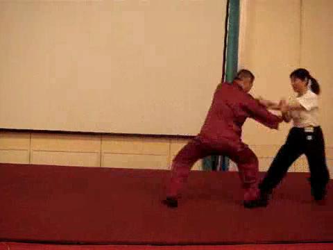 Wahnam Taijiquan