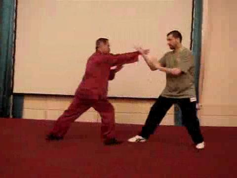 Wahnam Taijiquan Tai Chi Chuan