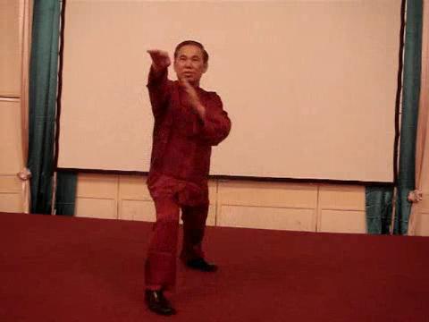 Wahnam Taijiquan