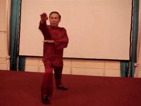 Wahnam Taijiquan Tai Chi Chuan