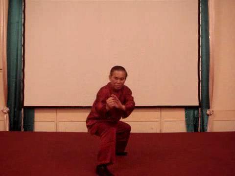 Wahnam Taijiquan Tai Chi Chuan