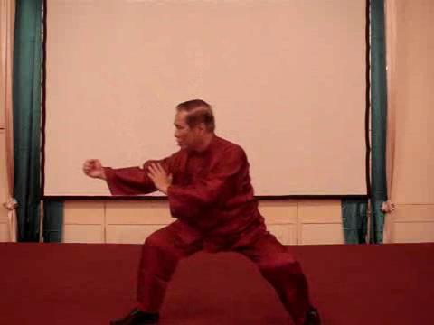 Taijiquan 12 Combat Sequences