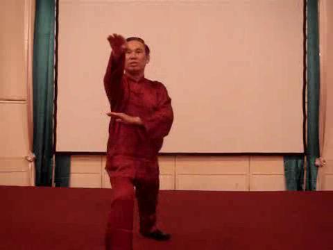 Taijiquan, Tai Chi Chuan