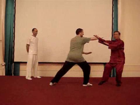 Wahnam Taijiquan