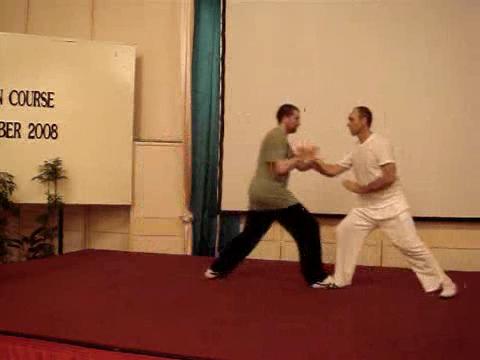 Wahnam Taijiquan