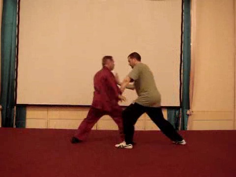 Wahnam Taijiquan