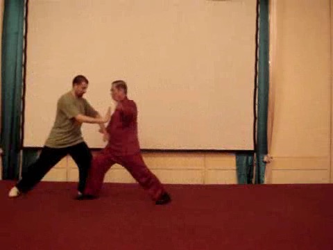 Wahnam Taijiquan