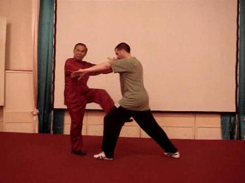 Wahnam Taijiquan