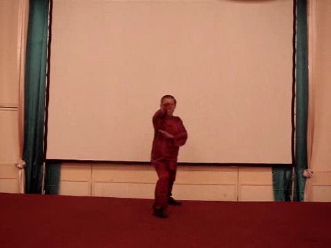 Wahnam Taijiquan