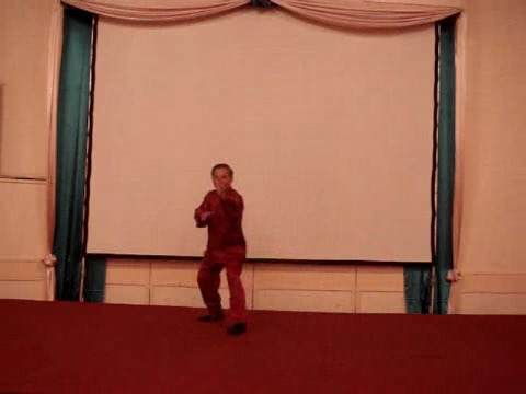 Wahnam Taijiquan