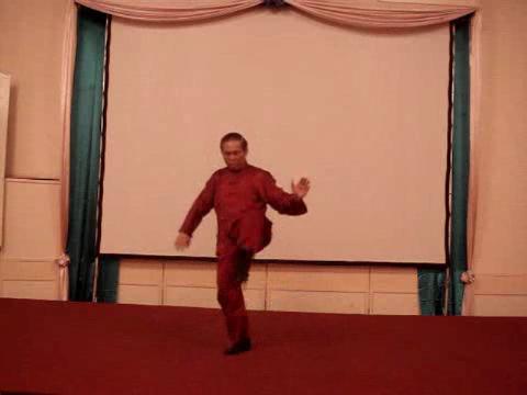 Wahnam Taijiquan