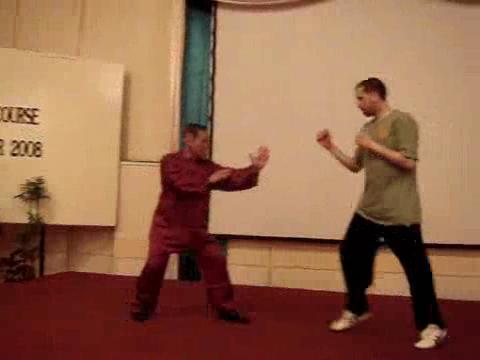 Wahnam Taijiquan Tai Chi Chuan