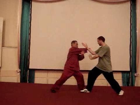 Wahnam Taijiquan