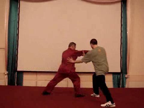 Wahnam Taijiquan