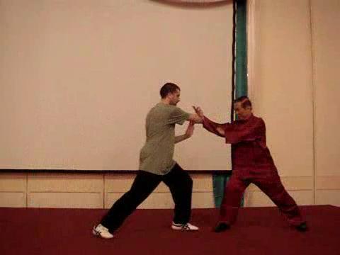 Wahnam Taijiquan