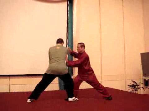 Wahnam Taijiquan