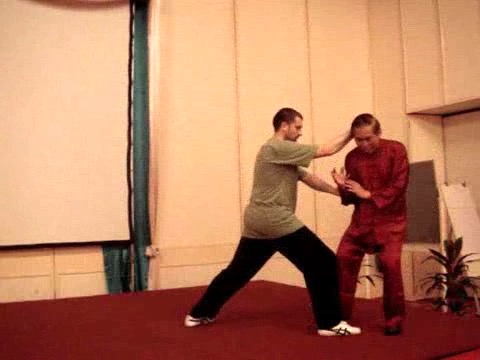 Wahnam Taijiquan